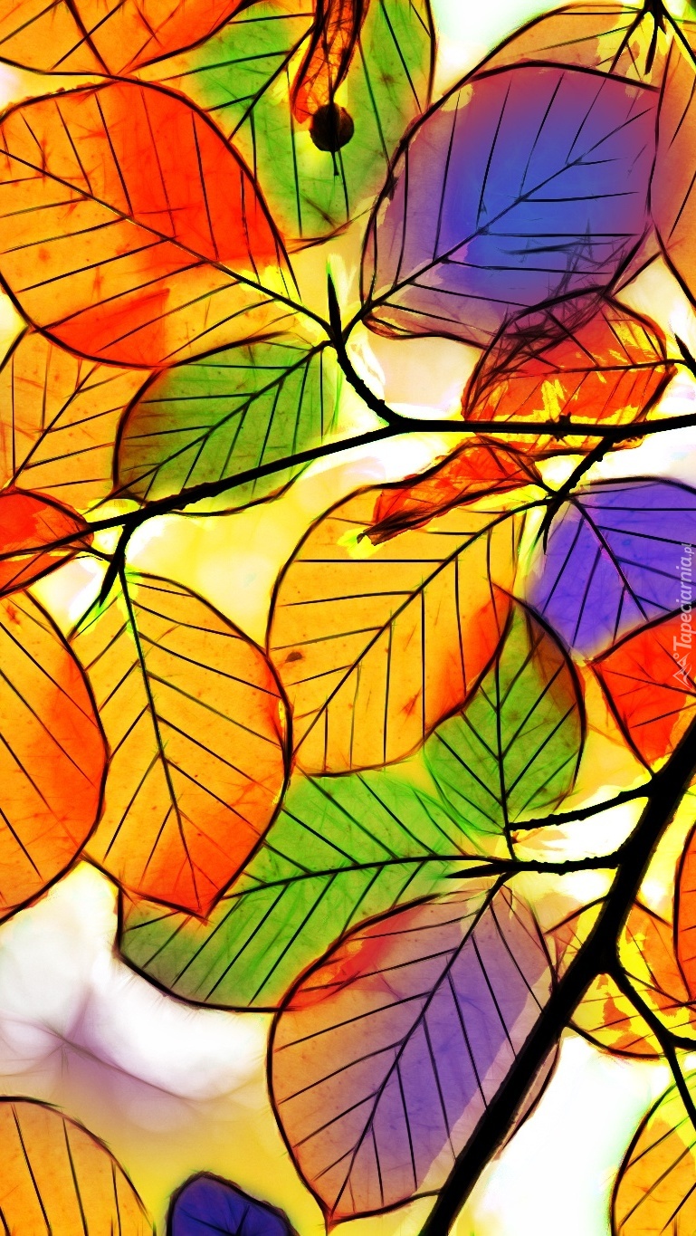 Kolorowe liście w grafice