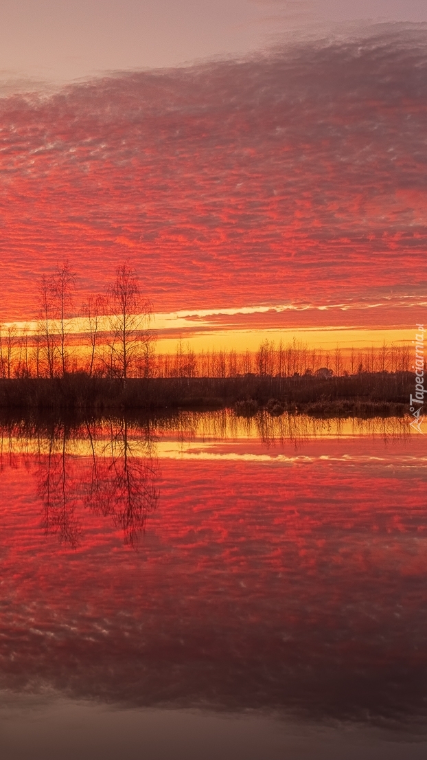 Kolorowe niebo i drzewa nad rzeką