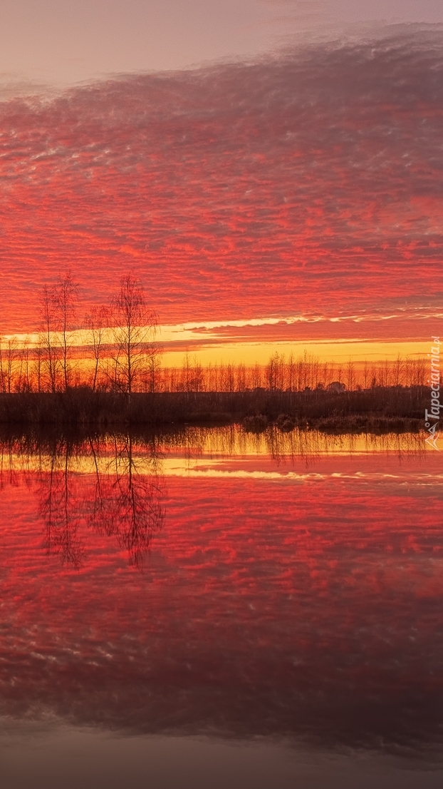 Kolorowe niebo i drzewa nad rzeką