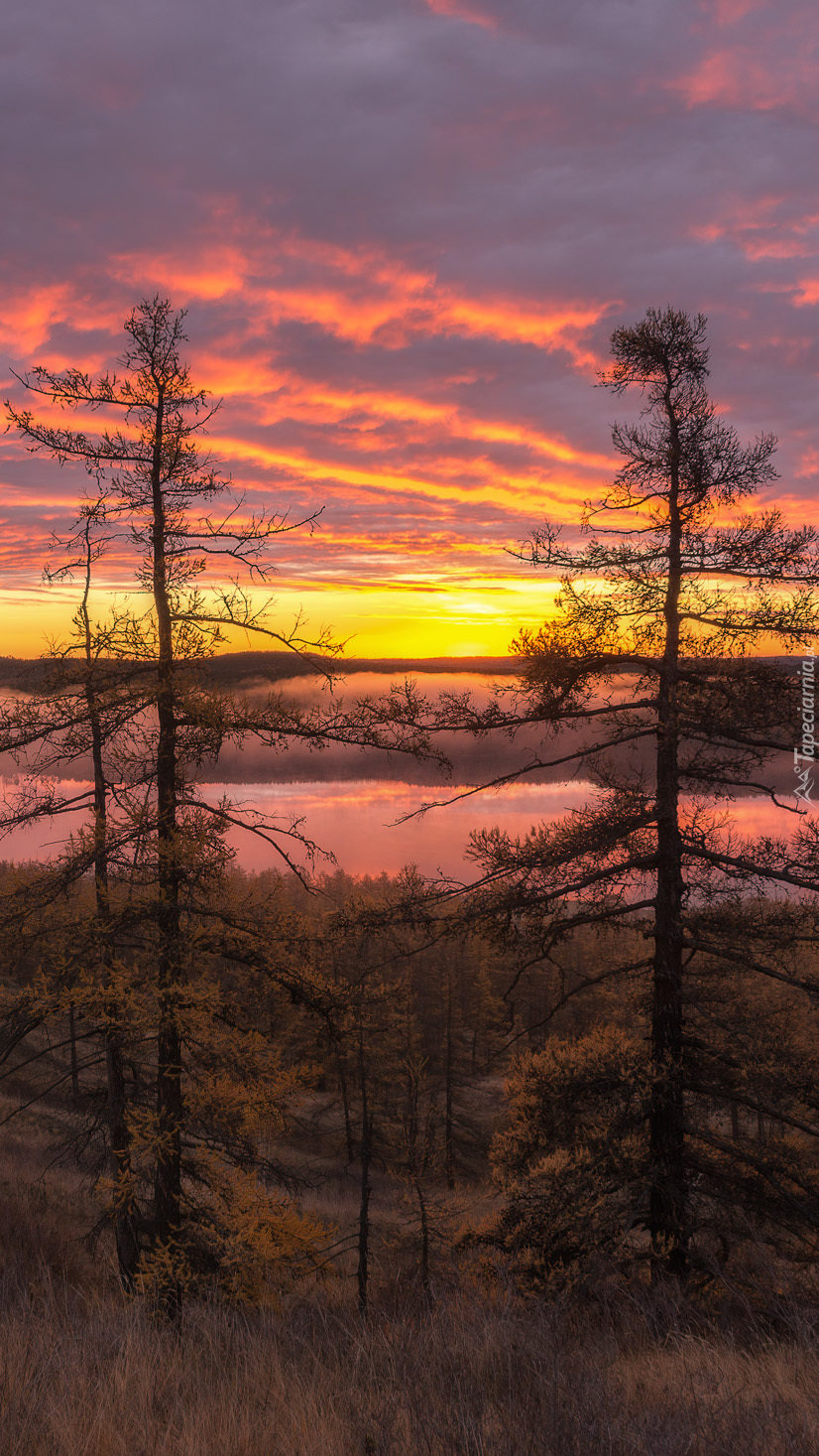 Kolorowe niebo nad jeziorem