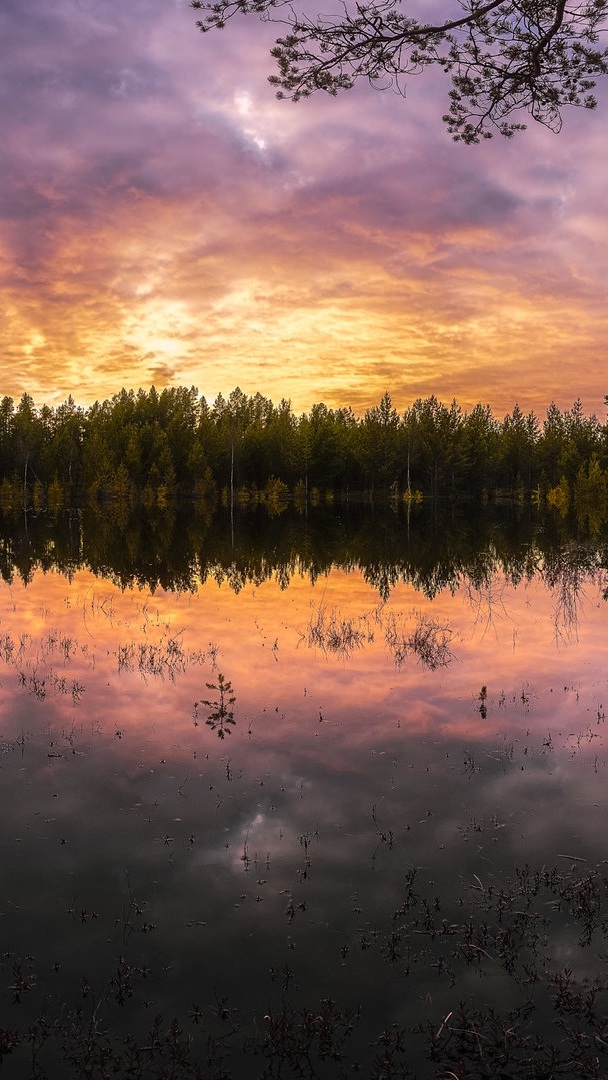 Kolorowe niebo nad jeziorem i lasem