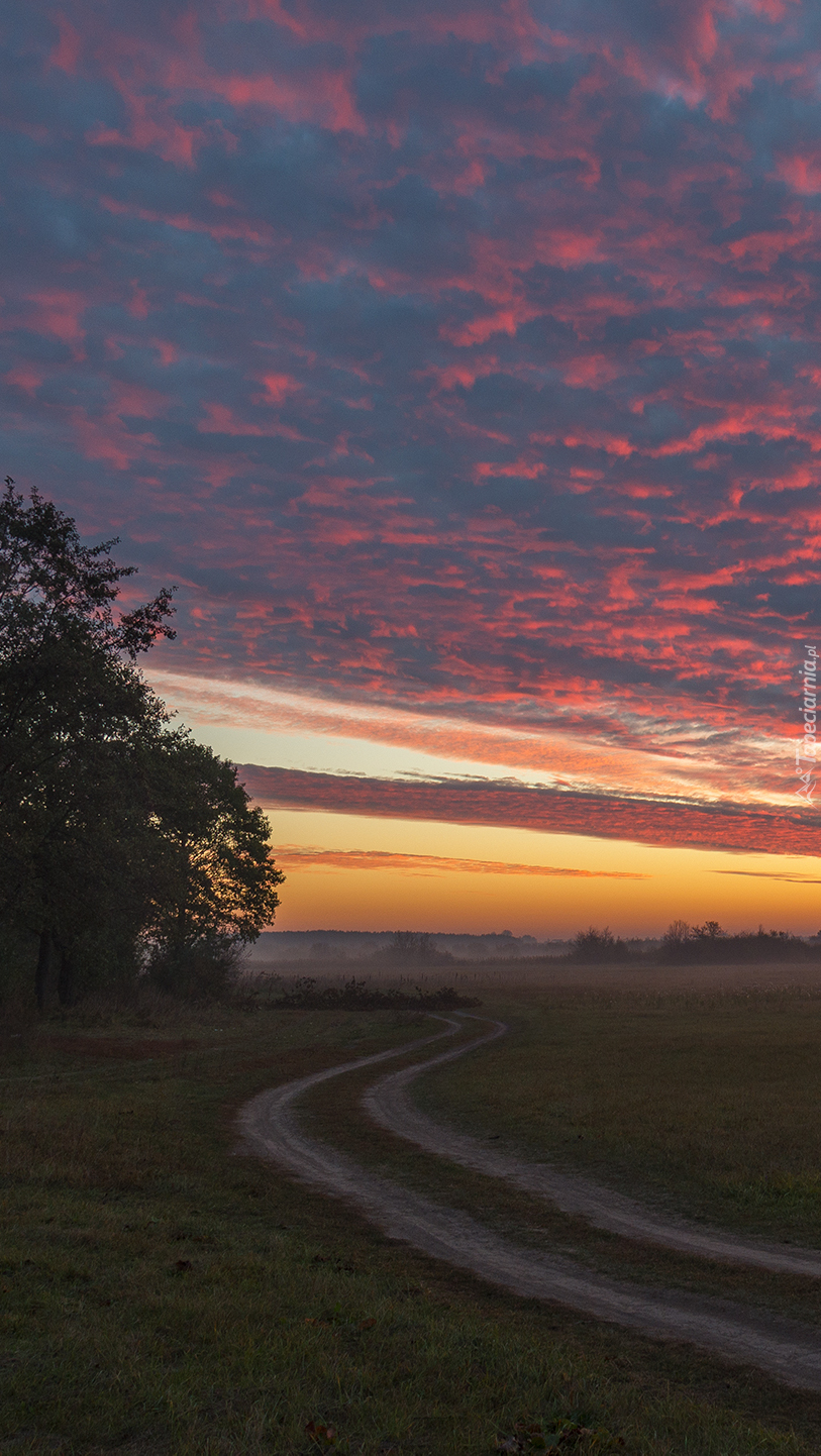 Kolorowe niebo nad łąką i drogą