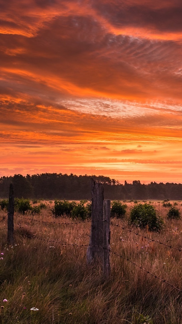 Kolorowe niebo nad łąką
