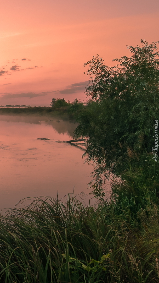 Kolorowe niebo nad rzeką