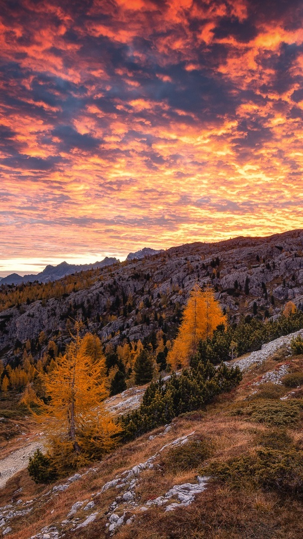 Kolorowe niebo nad zalesionymi górami