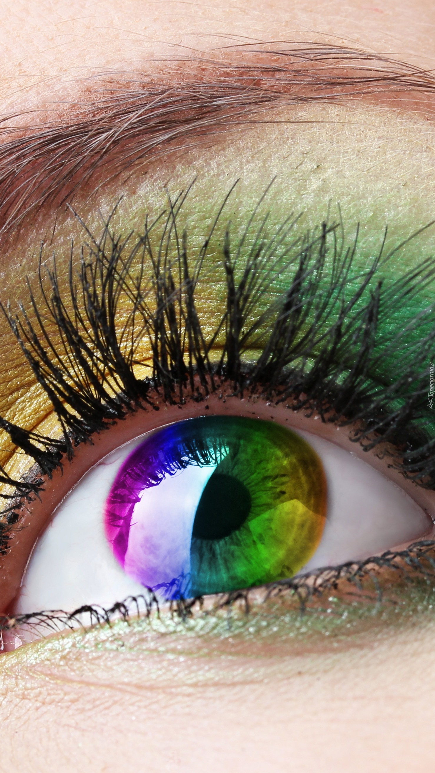 Kolorowe oko