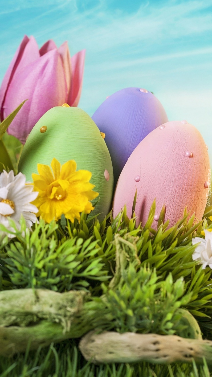 Pasqua 2024. Happy Easter на итальянском. Buona Pasqua открытки. Buona Pasqua поздравления. Buona Pasqua картинки на итальянском языке.