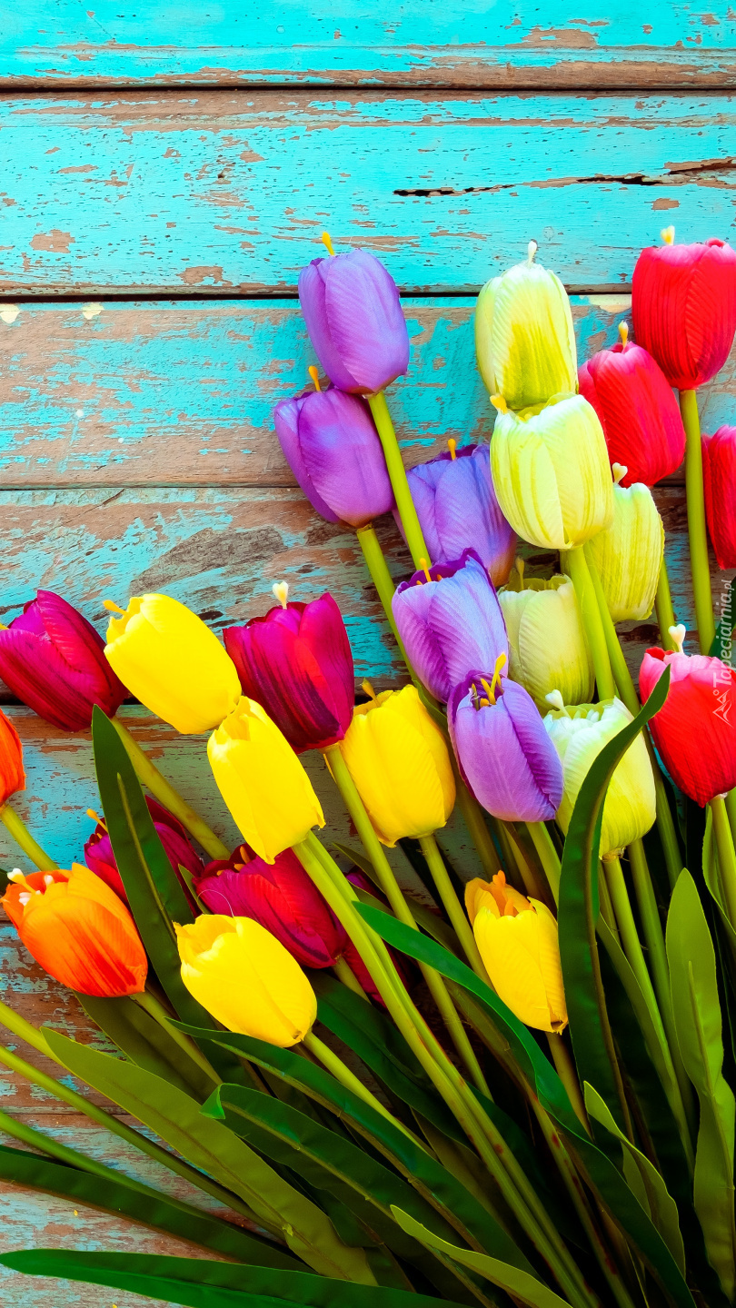 Kolorowe sztuczne tulipany