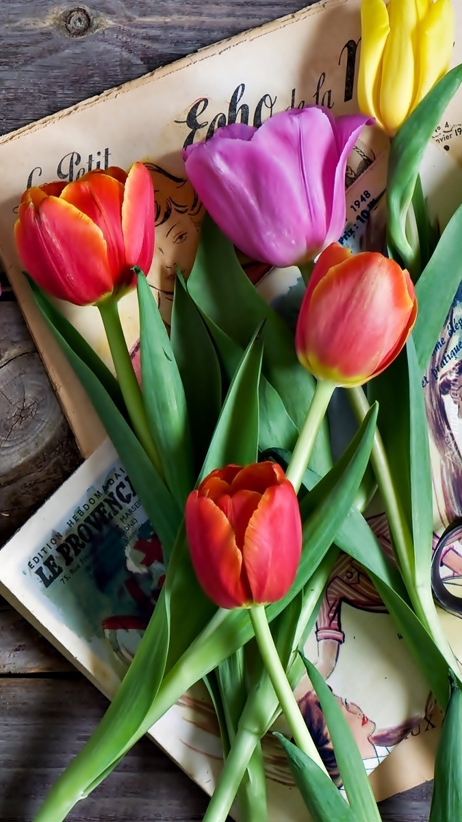 Kolorowe tulipany na gazecie