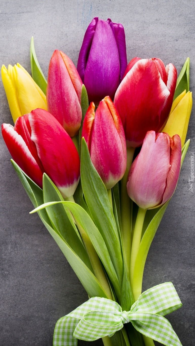 Kolorowe tulipany w bukiecie