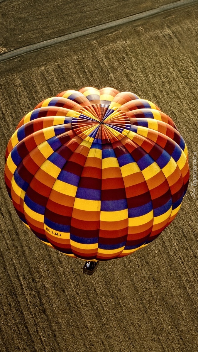 Kolorowy balon nad zaoranym polem