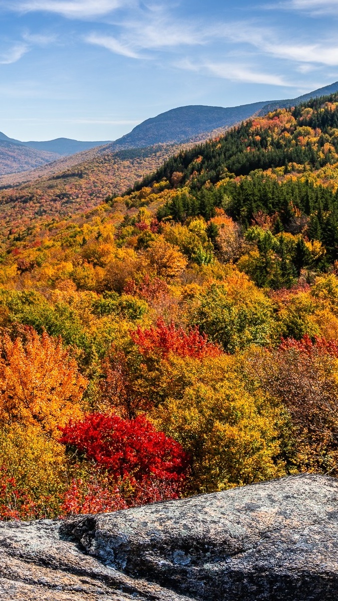 Kolorowy jesienny las na wzgórzach