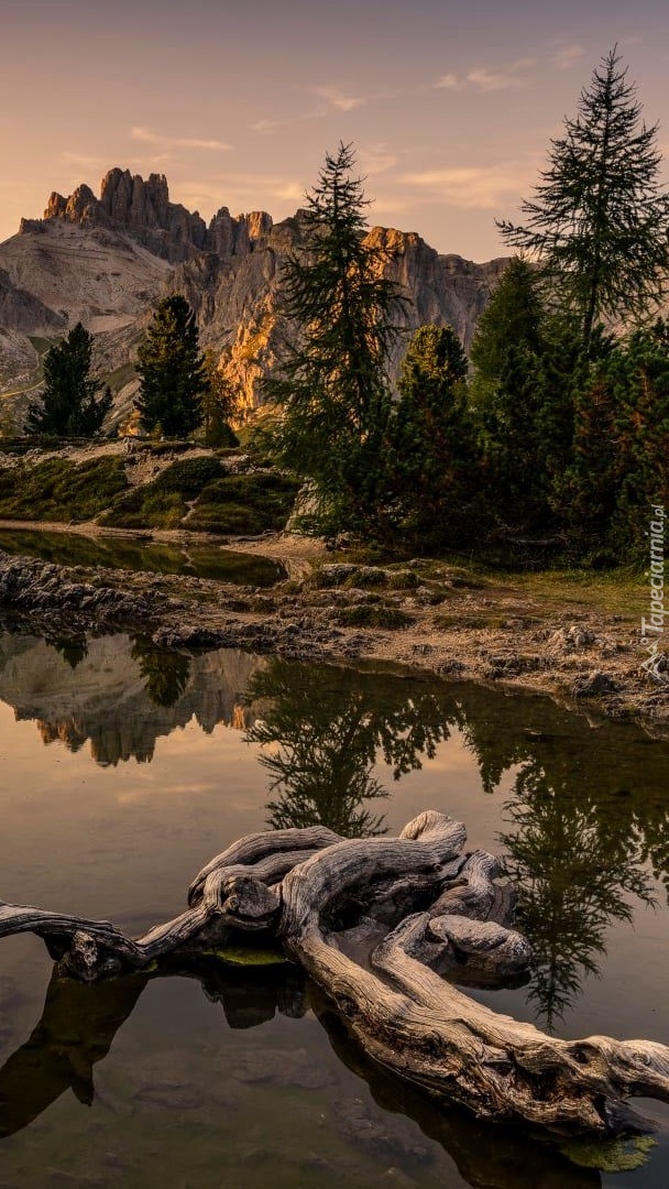 Konar w jeziorze Lago Limides