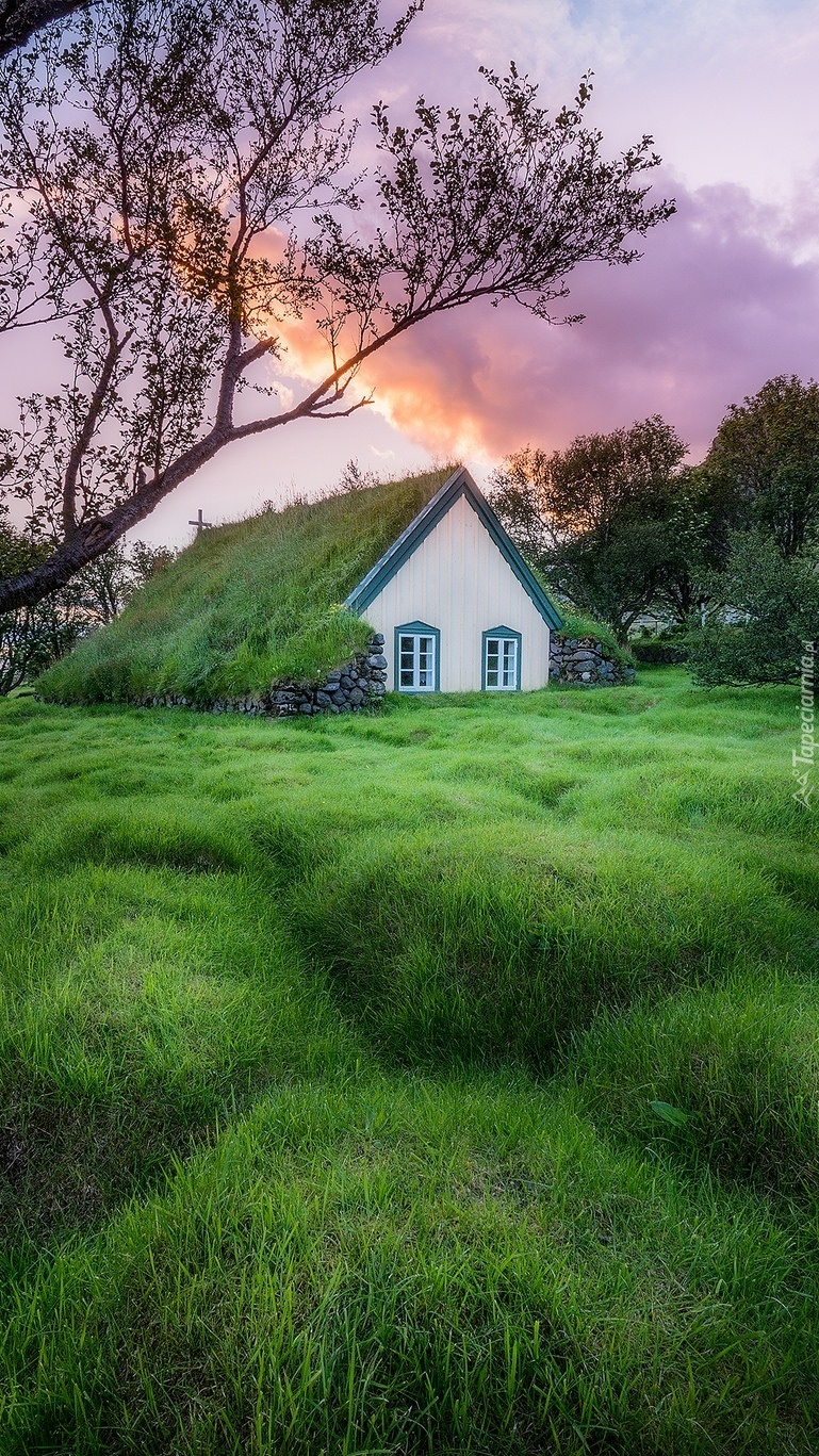 Kościół Hofskirkja w Islandii