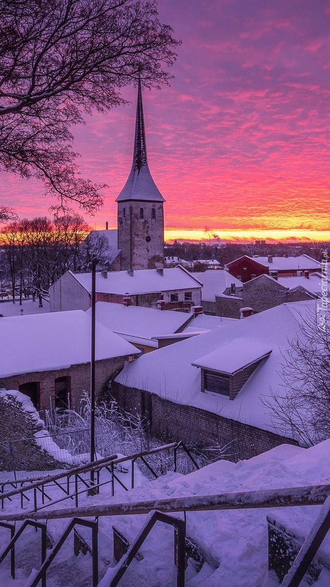 Kościół i domy w Rakvere