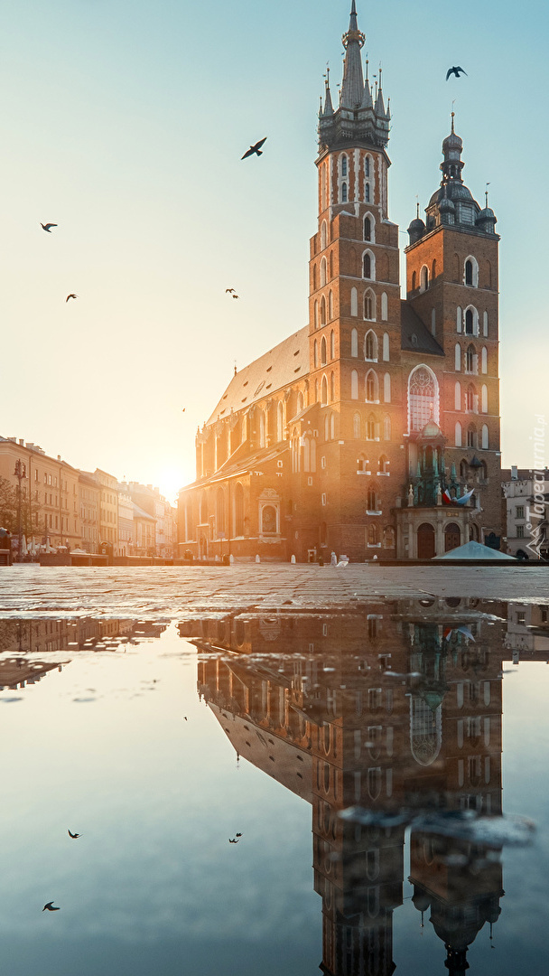 Kościół Mariacki w Krakowie