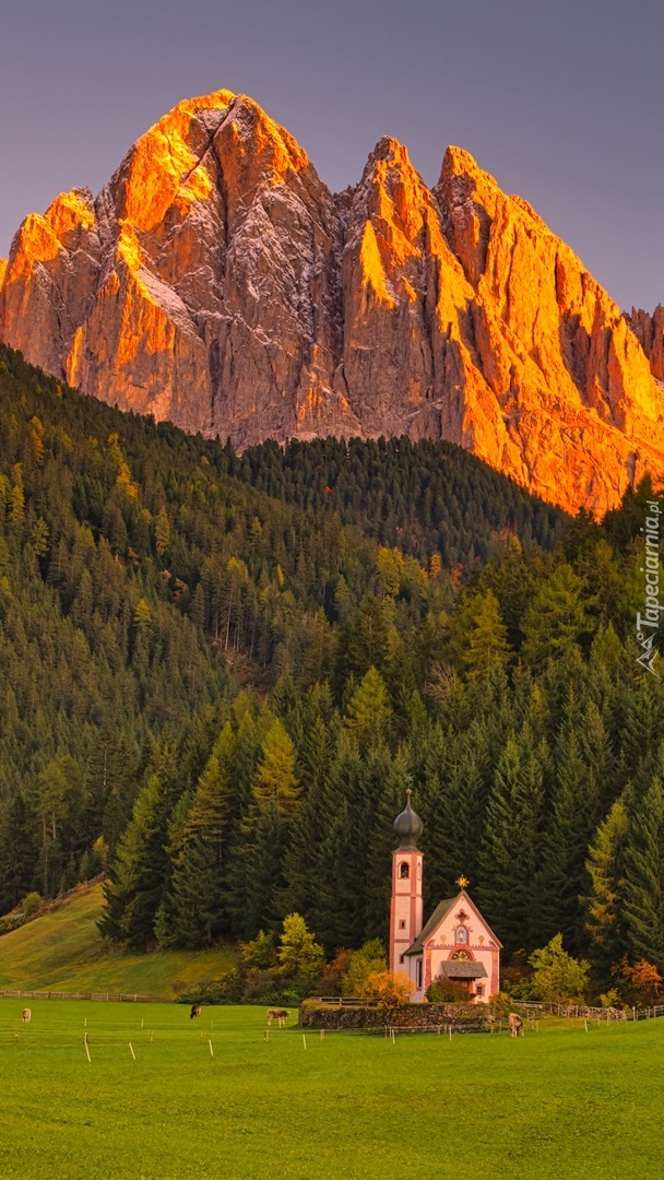 Kościół pod lasem i rozświetlone Dolomity