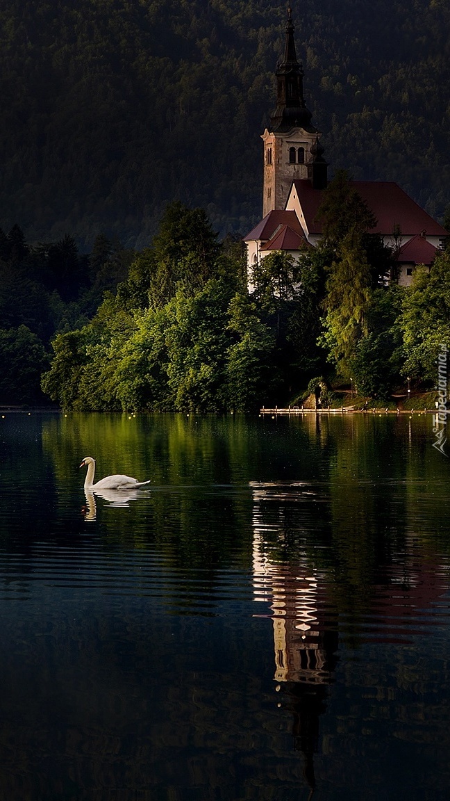 Kościół Zwiastowania Marii Panny na jeziorze Bled