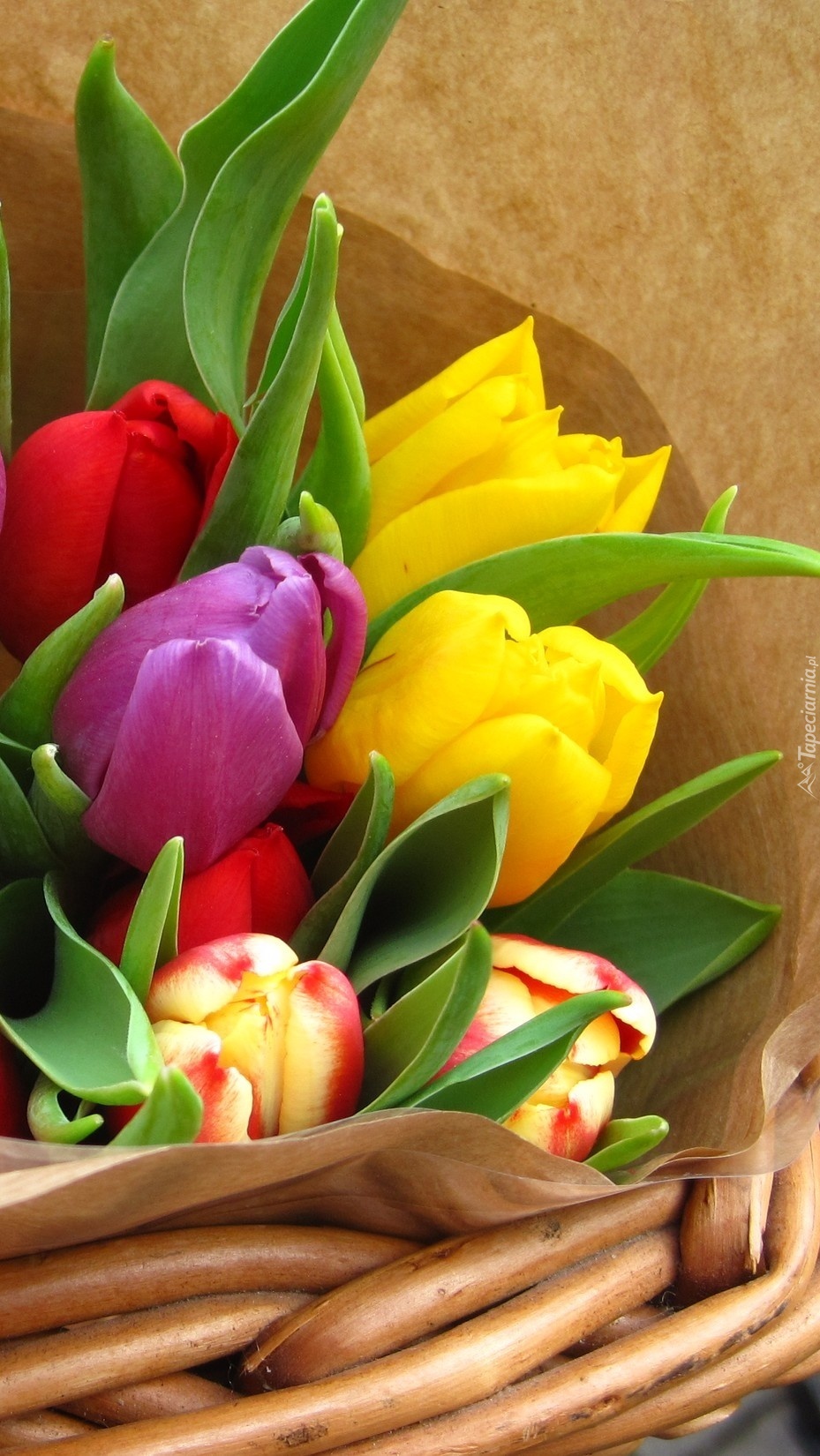 Koszyk z tulipanami