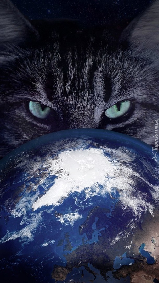 Kot i planeta Ziemia w grafice