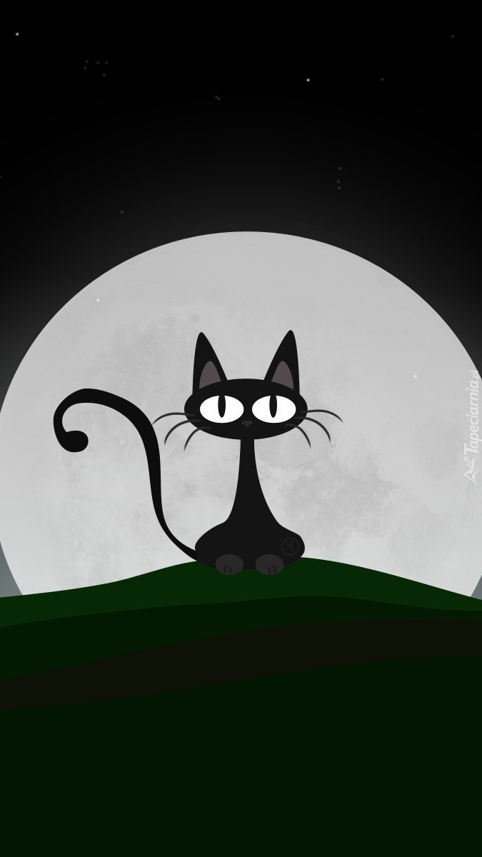 Kot na tle księżyca