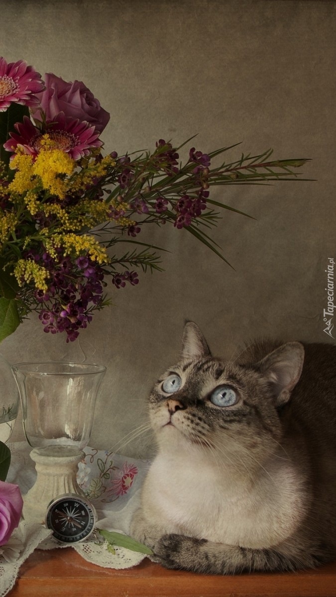 Kot obok wazonu z kwiatami