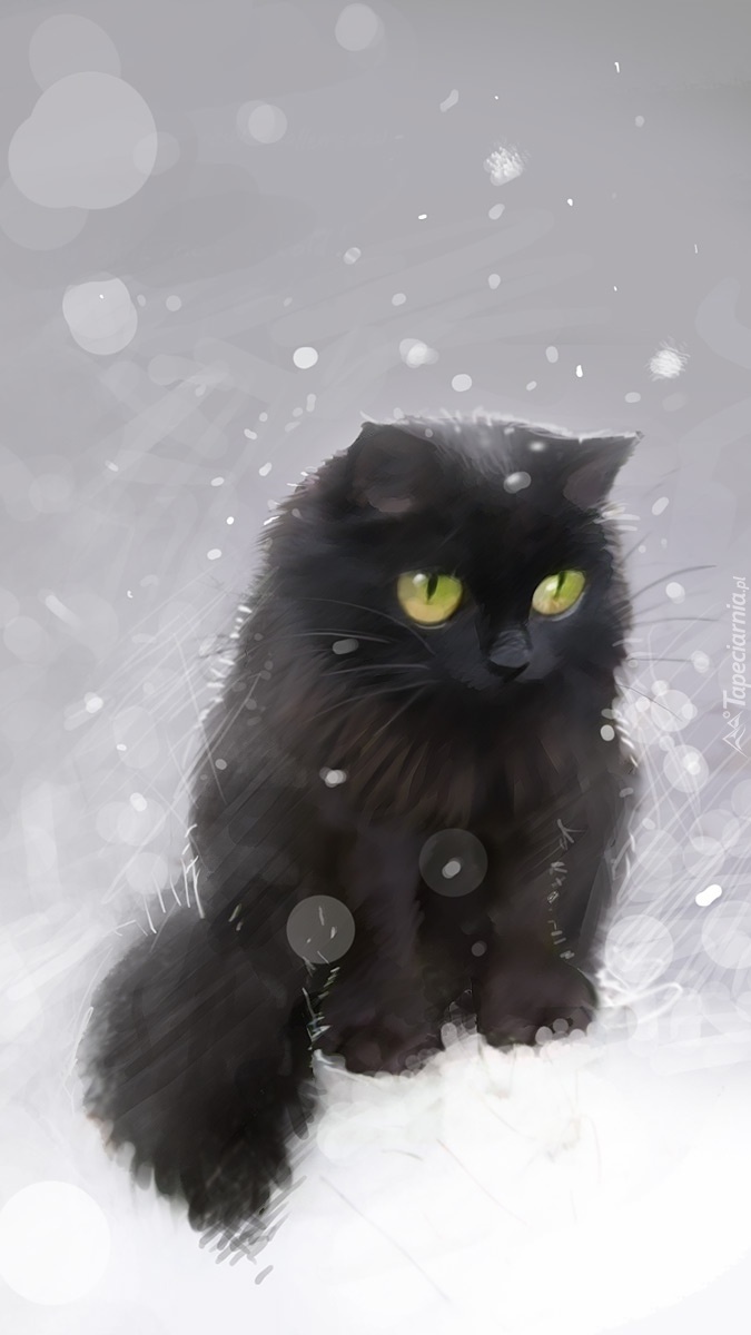 Kot przygląda się padającym płatkom śniegu