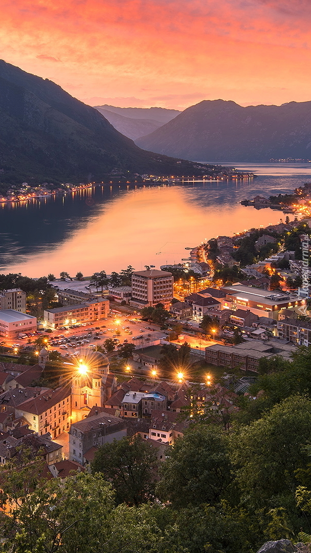 Kotor