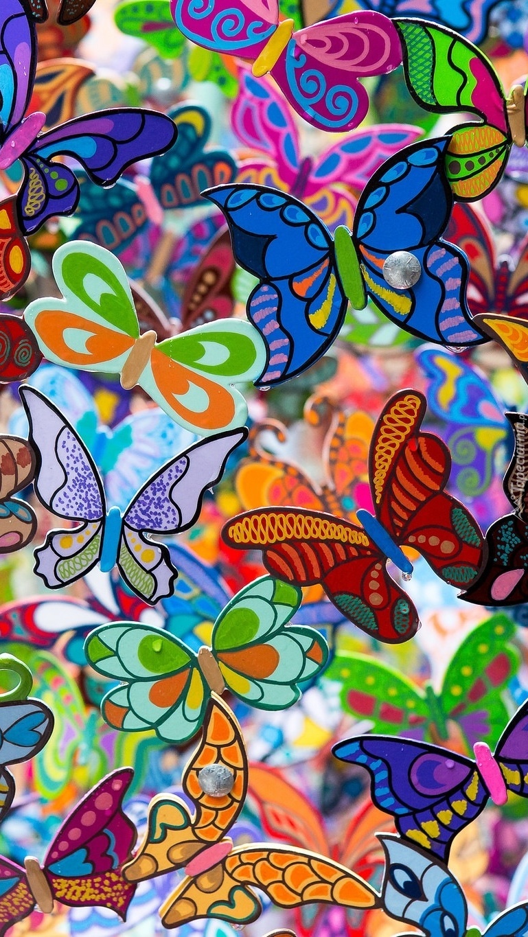 Kraina kolorowych motyli