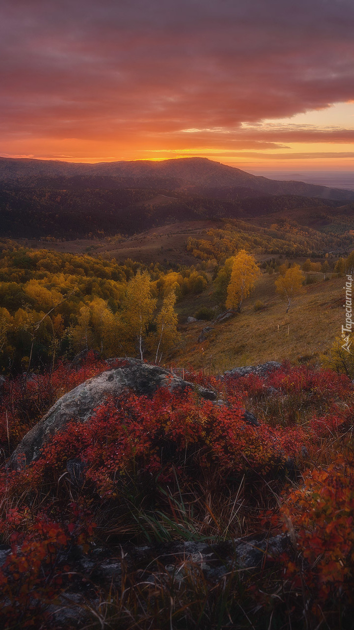 Krajobraz Ałtaju w jesiennych barwach