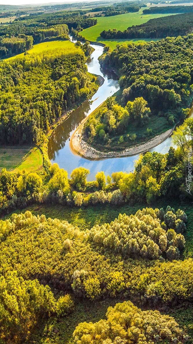 Kręta rzeka wśród lasów