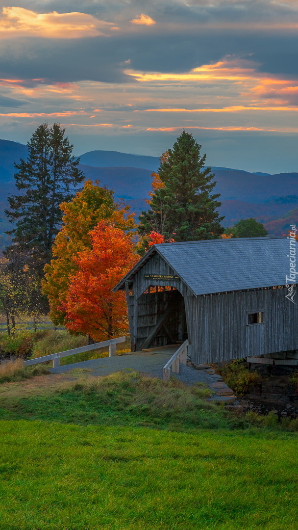 Kryty most Most Foster Covered Bridge