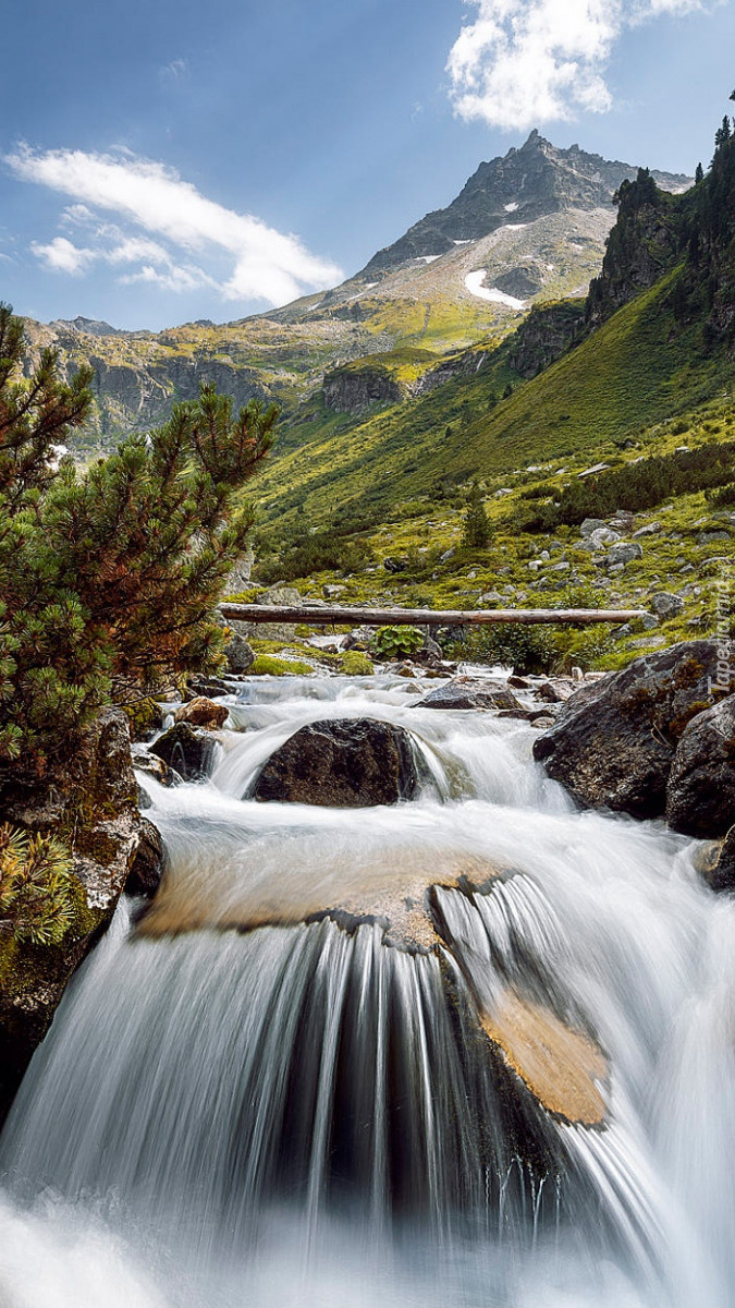 Krzewy i kamienie nad rzeką