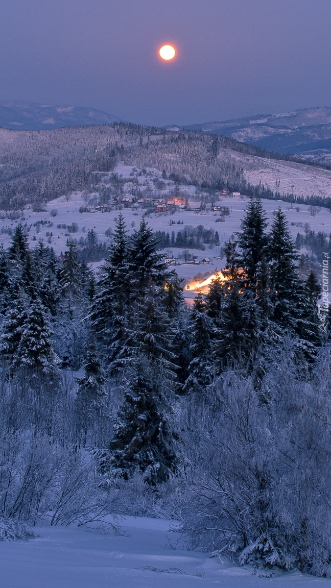 Księżyc nad ośnieżonymi lasami