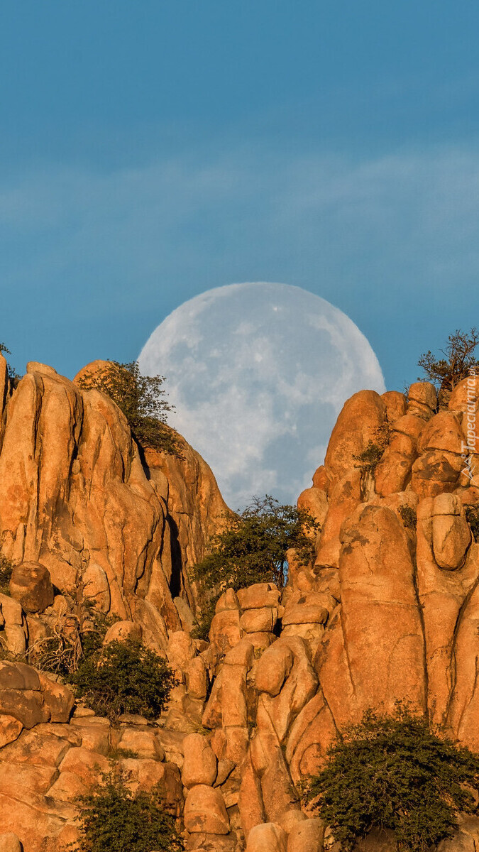 Księżyc w pełni nad skałami