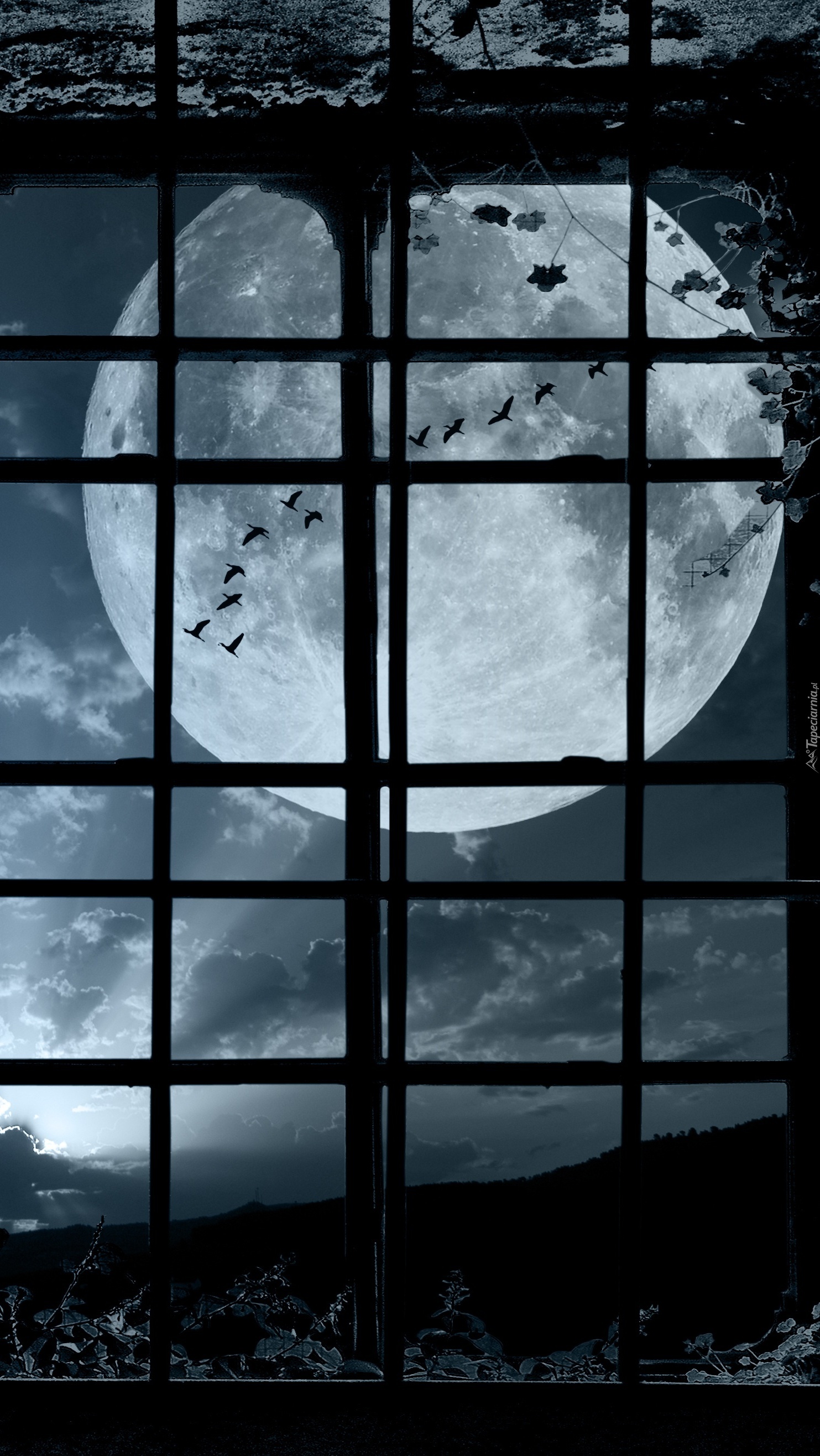 Księżyc za oknem