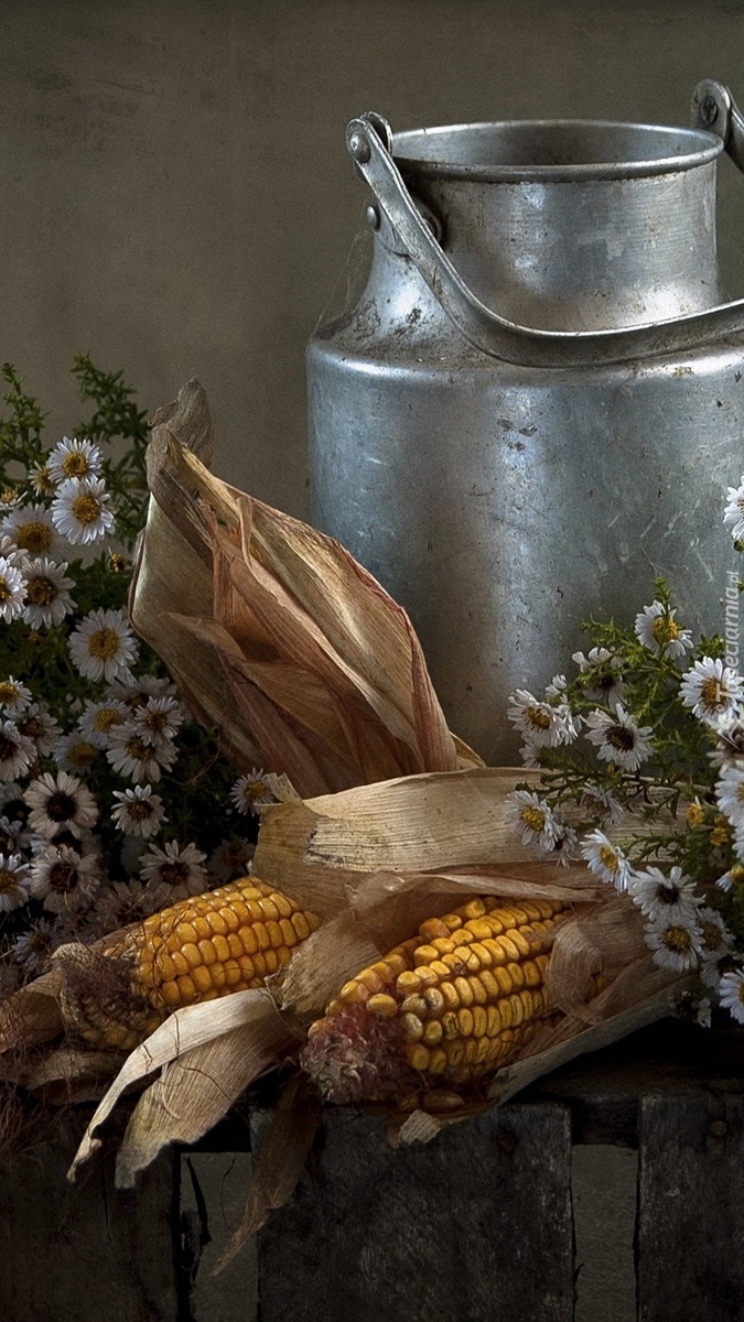 Kukurydza i kwiaty obok bańki