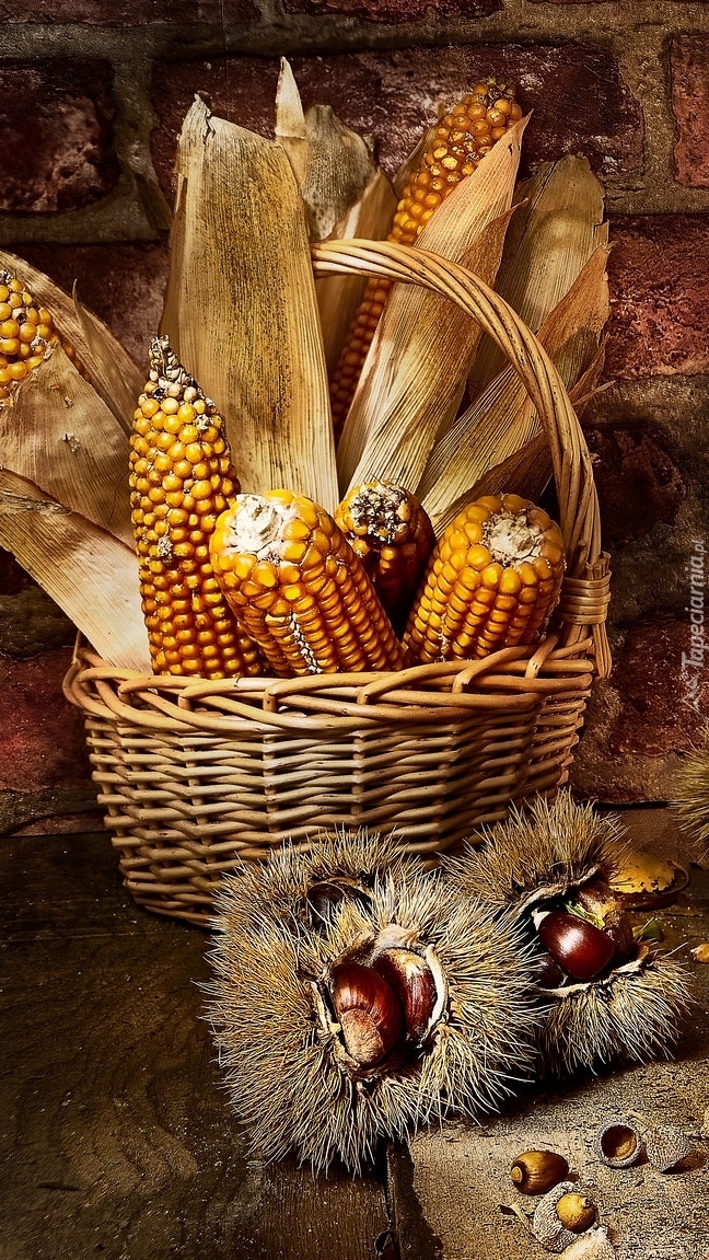 Kukurydza w koszyku obok kasztanów jadalnych