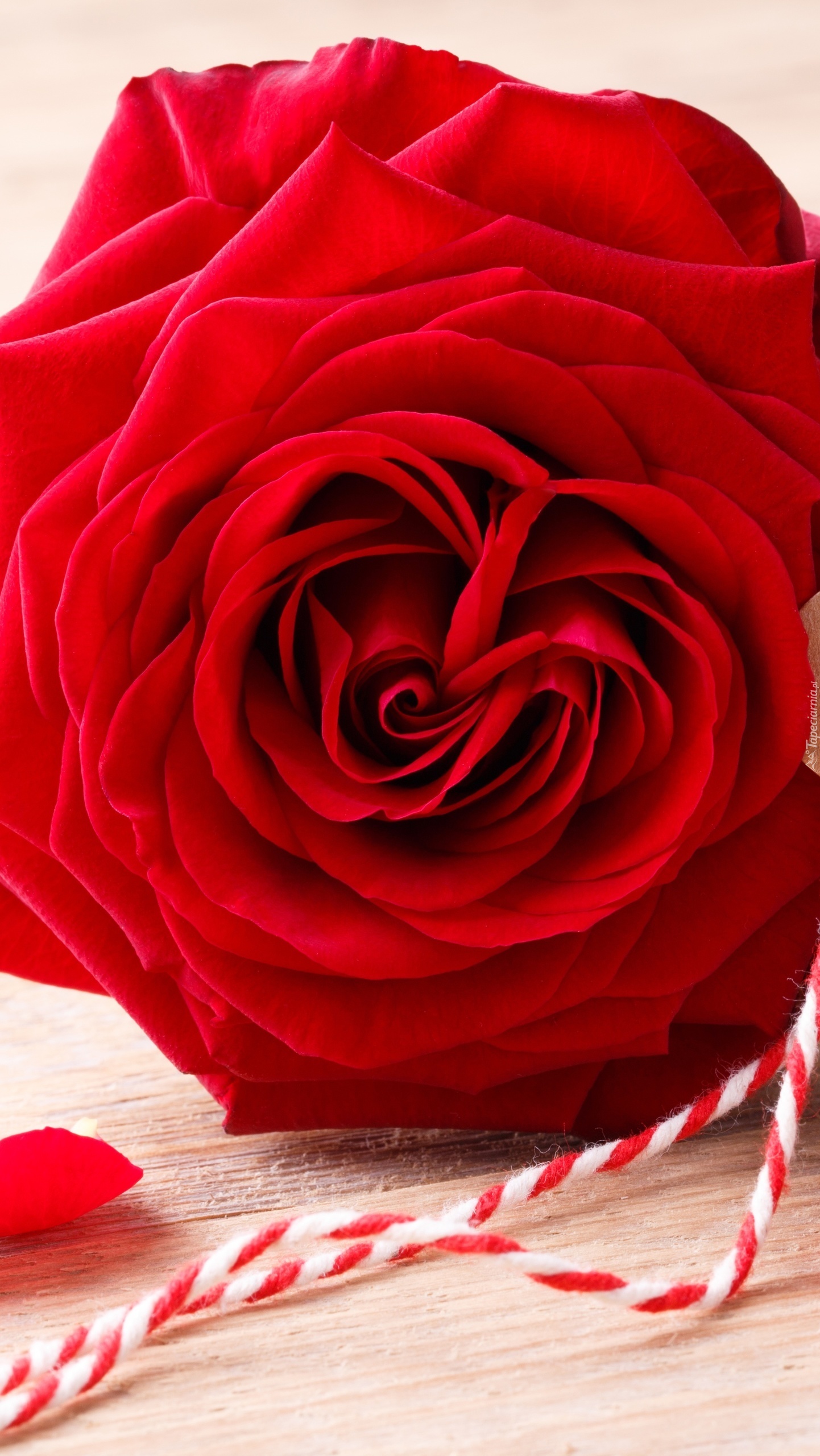 Kwiat róży ze sznurkiem