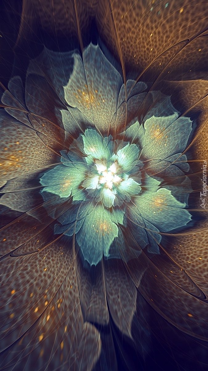 Kwiat w pióropuszach