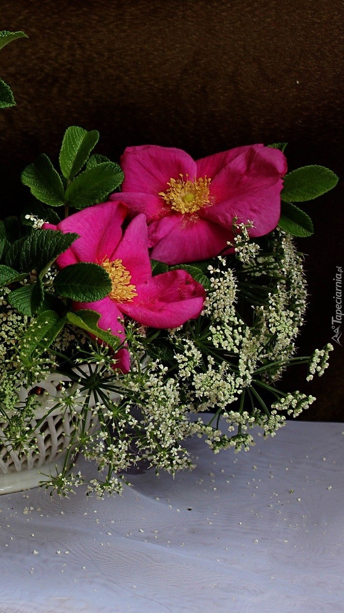 Kwiaty dzikiej róży w koszyku