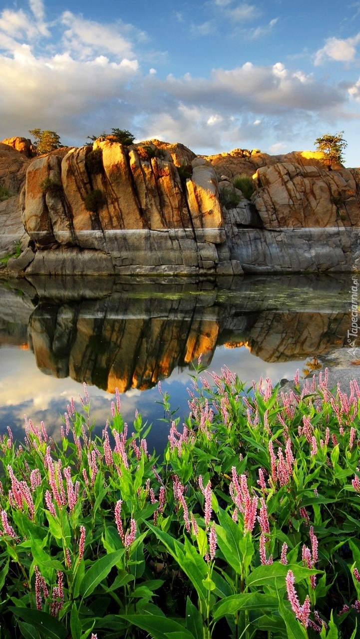 Kwiaty i góry odbite w lustrze jeziora
