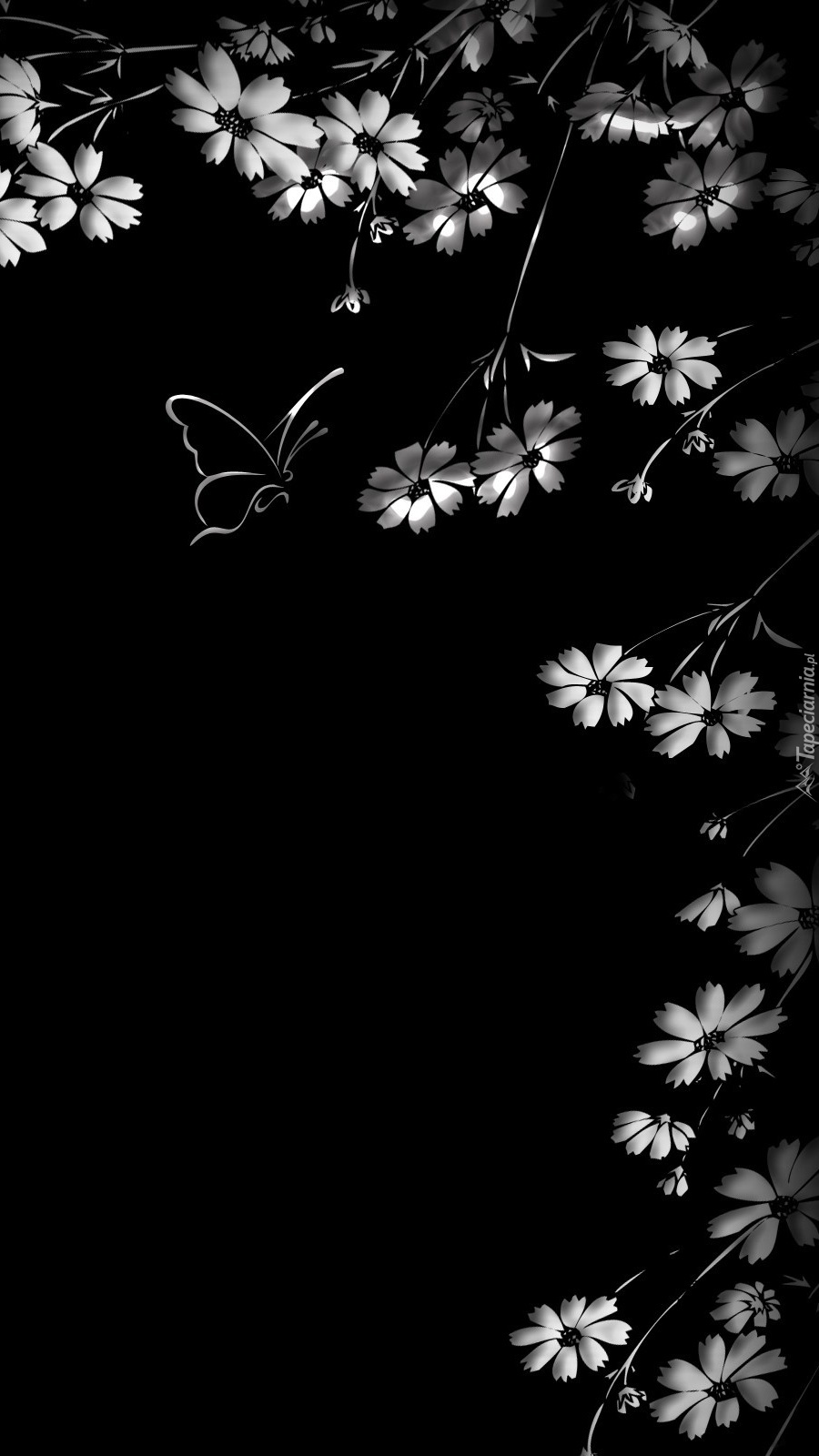 Kwiaty i motyl w grafice na czarnym tle