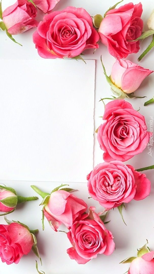 Kwiaty róż położone obok białej kartki