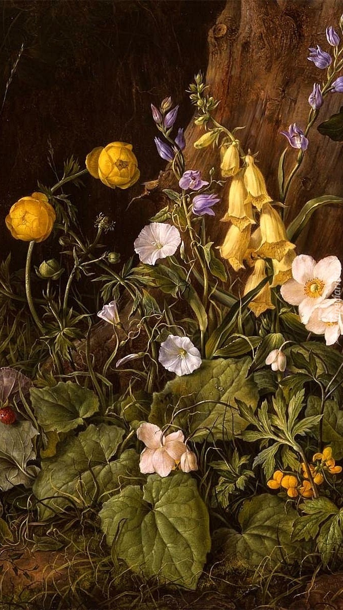 Kwiaty w obrazie Franza Xavera Pettera