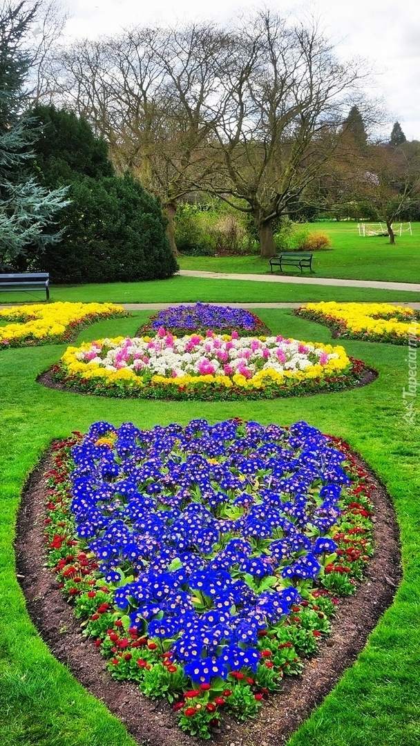Kwiaty w parku