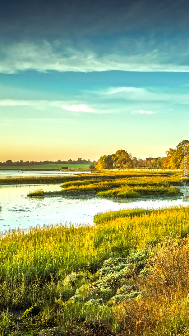 Łąki nad rzeką River Deben