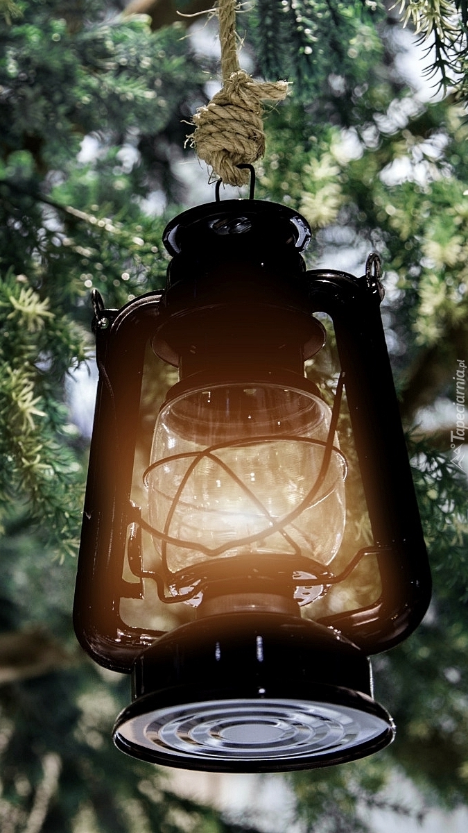 Lampion wiszący na gałązkach