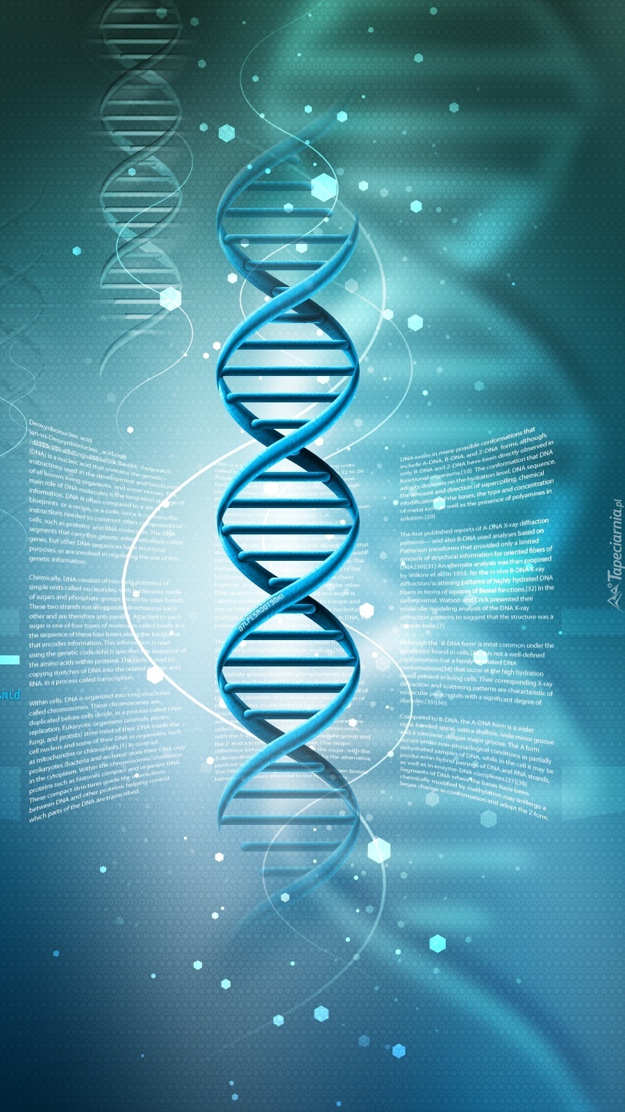 Łańcuch DNA łańcuchem życia