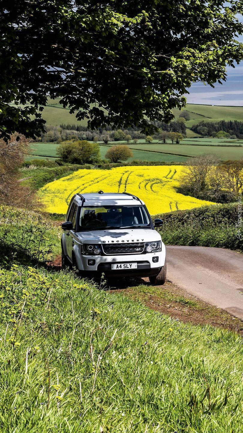 Land Rover Discovery pod drzewem